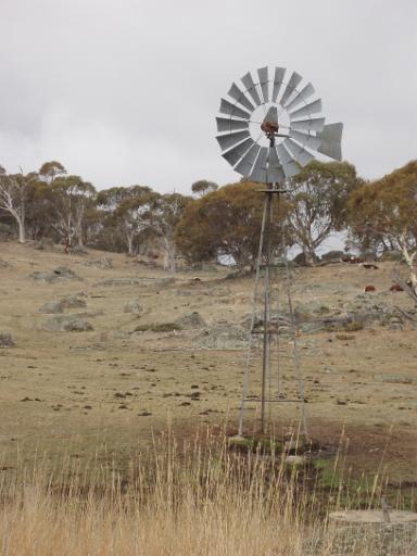 windpump on a dry pasture