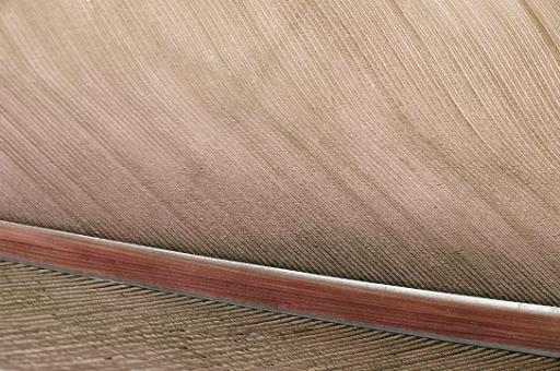 Macro of a bird feather showing the hollow central shaft surrounded by the feathery parallel barbs forming a vane