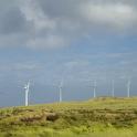 a line of wind power generators on a hilltop