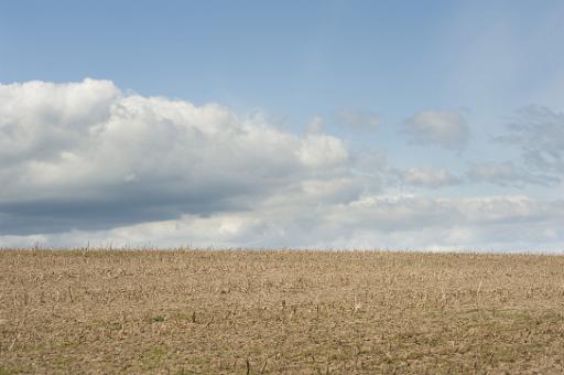crop stubble in a field