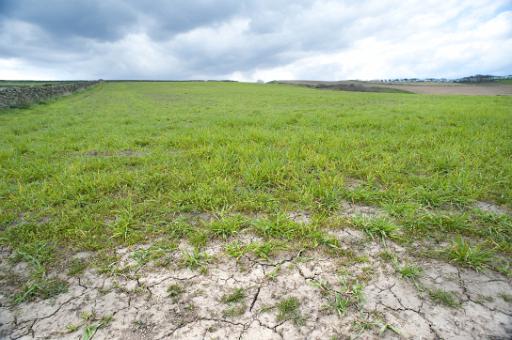 dry cracked earth
