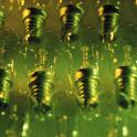rows of incandescent lightblubs