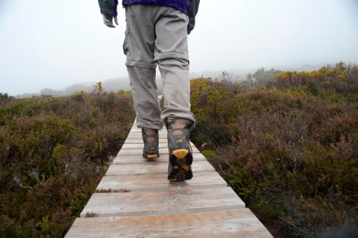 Person hiking on a wooden boardwalk across the top of the hills in the highlands on a misty day
