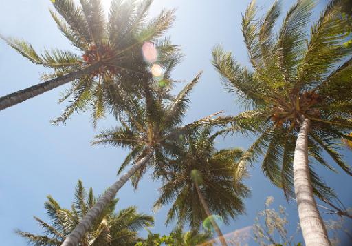 a hot sunny day